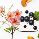 Fresh Blossom